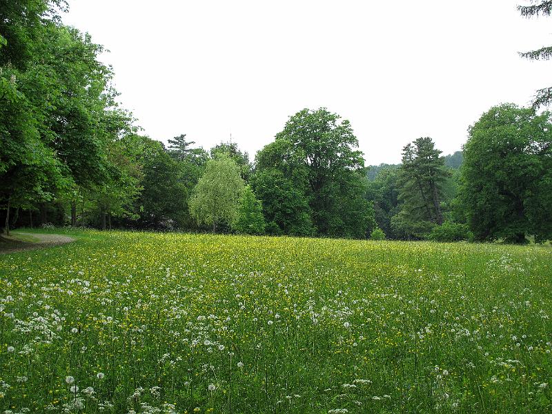 Wechselburg (27).JPG
